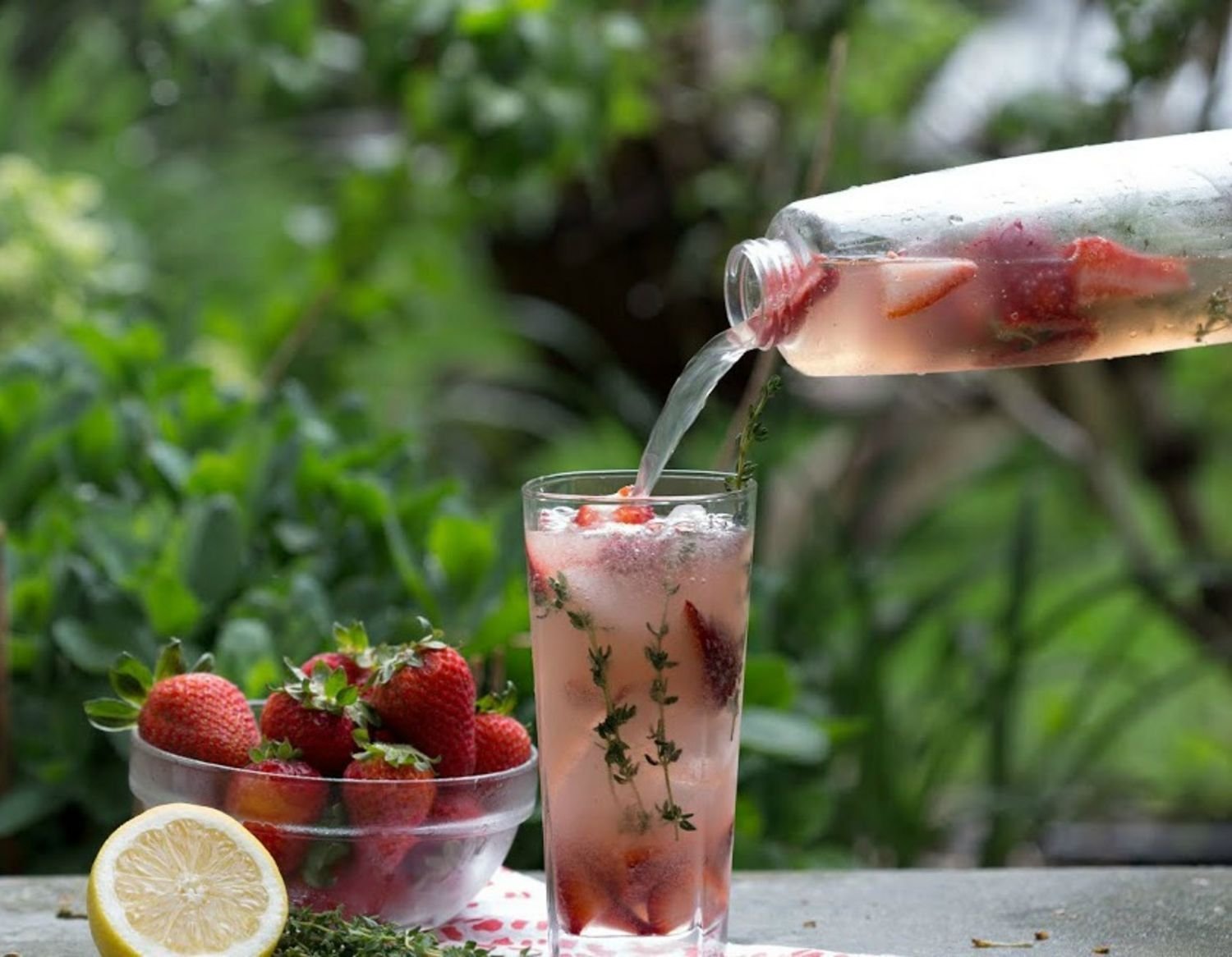 top soda co2 cartridge brands for sparkling water in 2025